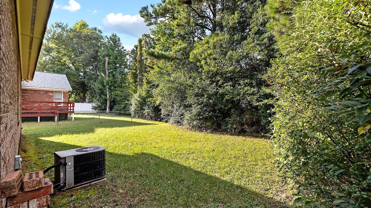 Photo of Outdoor in Pine Forest