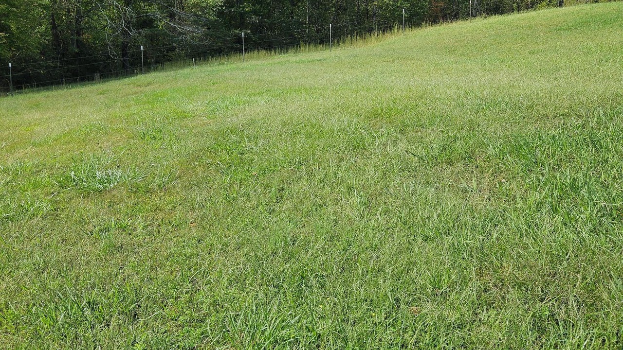 Photo of Others in Mount Airy