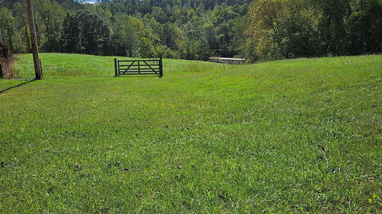 Photo of Outdoor in Mount Airy