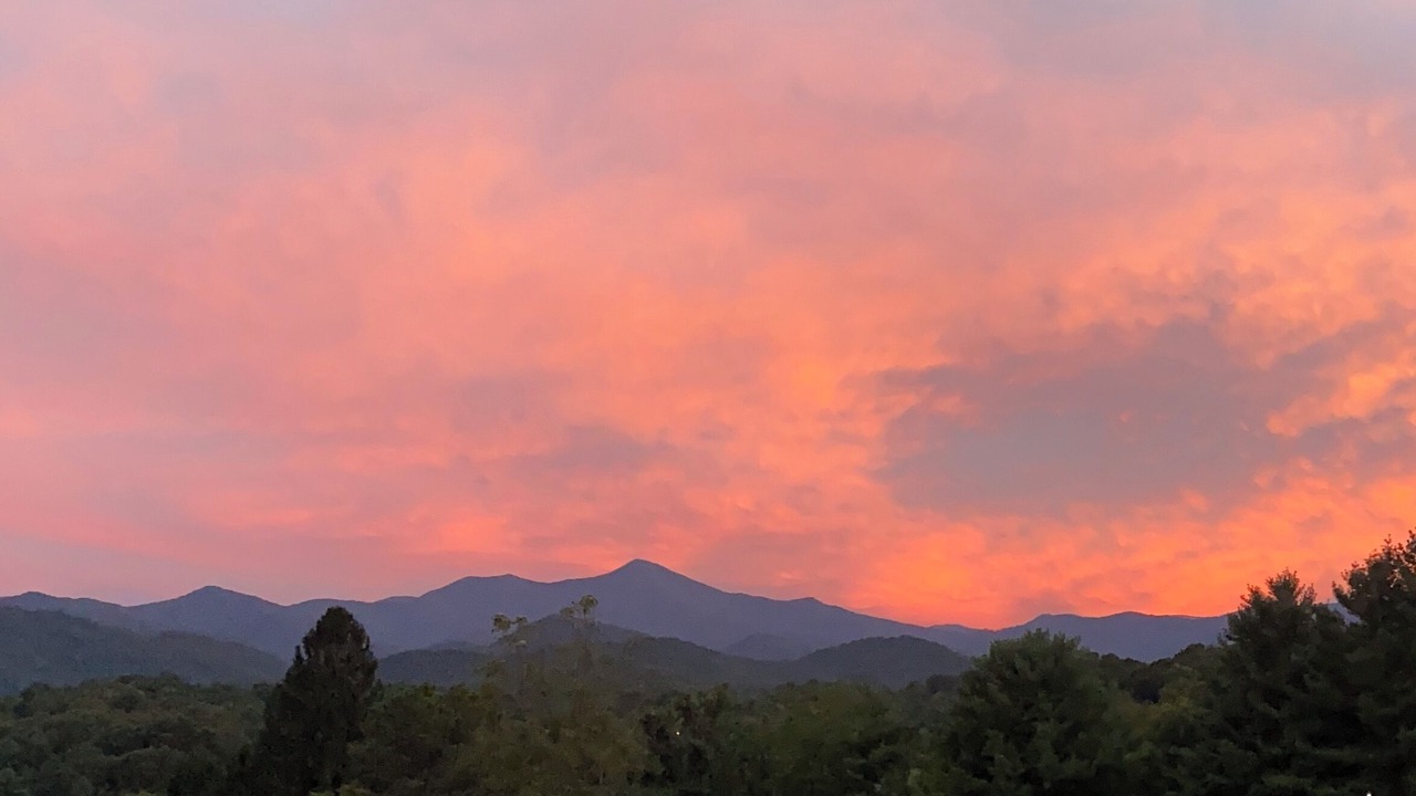 Photo of Outdoor in Candler