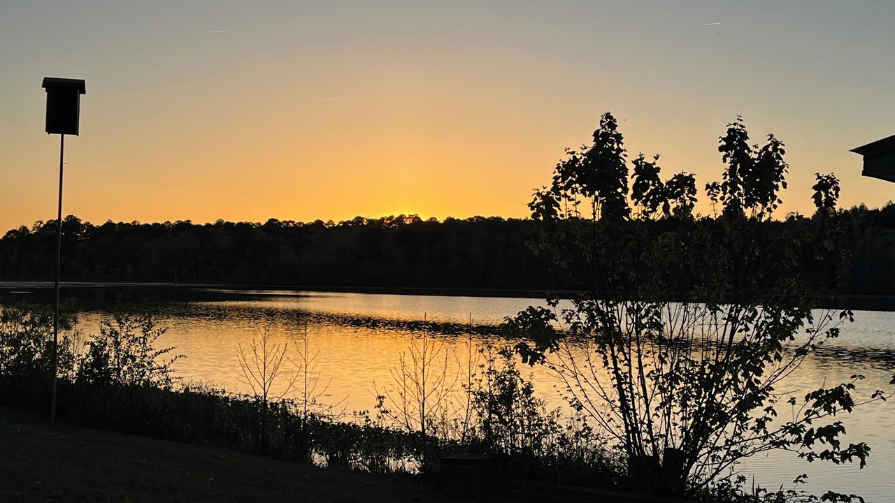 Photo of Outdoor in Benson