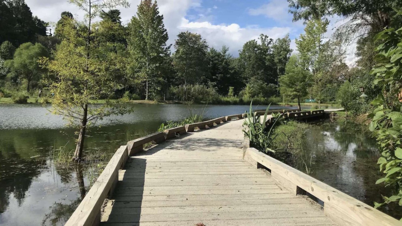 Photo of Outdoor in Laurel Park