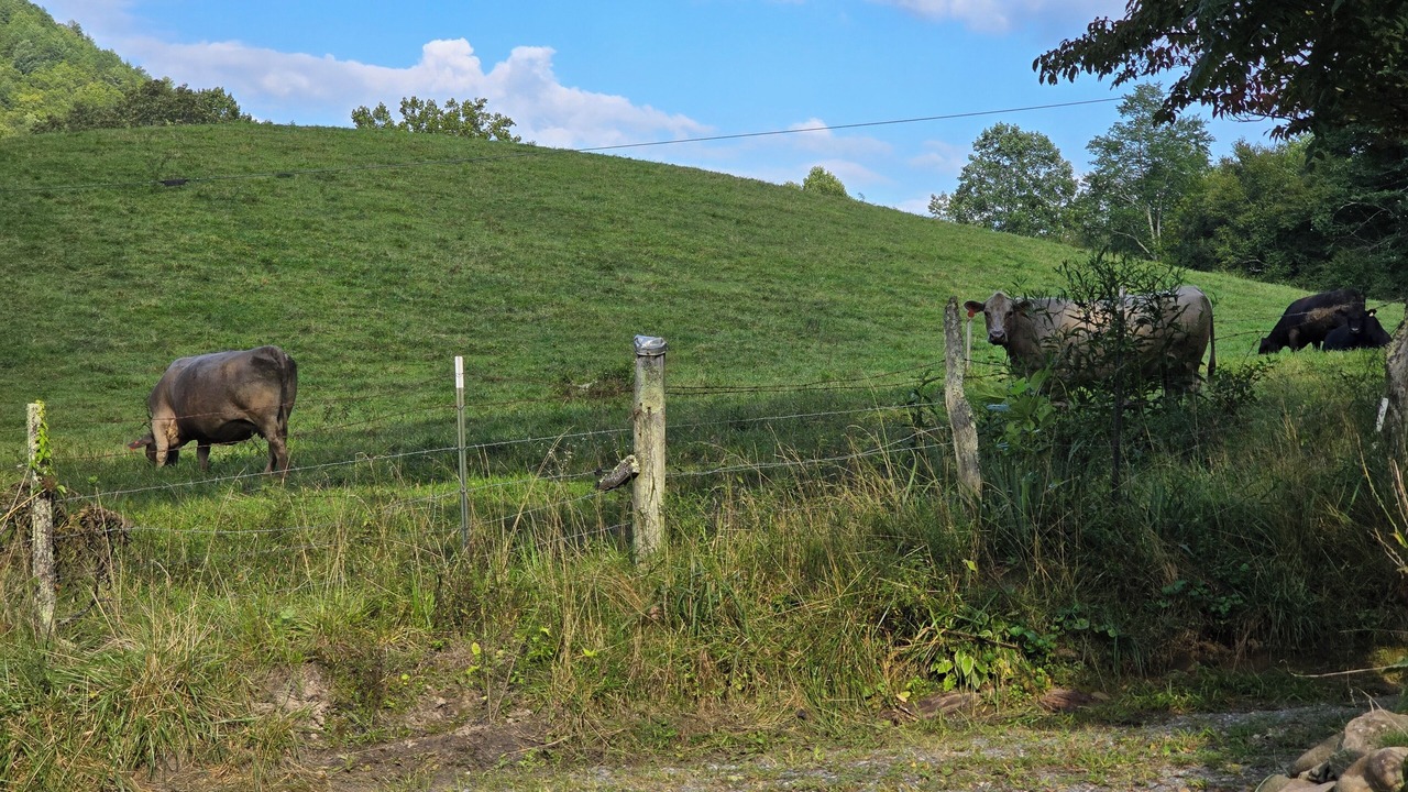 Photo of Outdoor in Robbinsville
