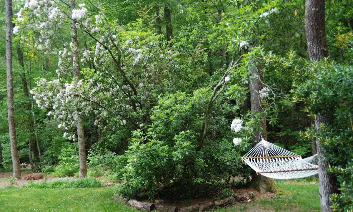 Photo of Outdoor in Brevard