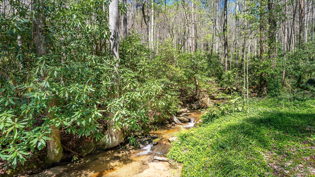 Photo of Outdoor in Brevard