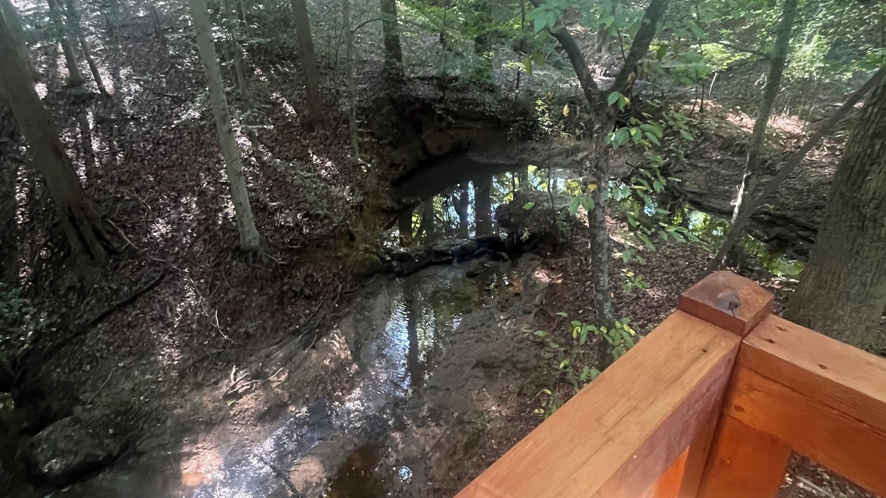 Photo of Outdoor in Shelby