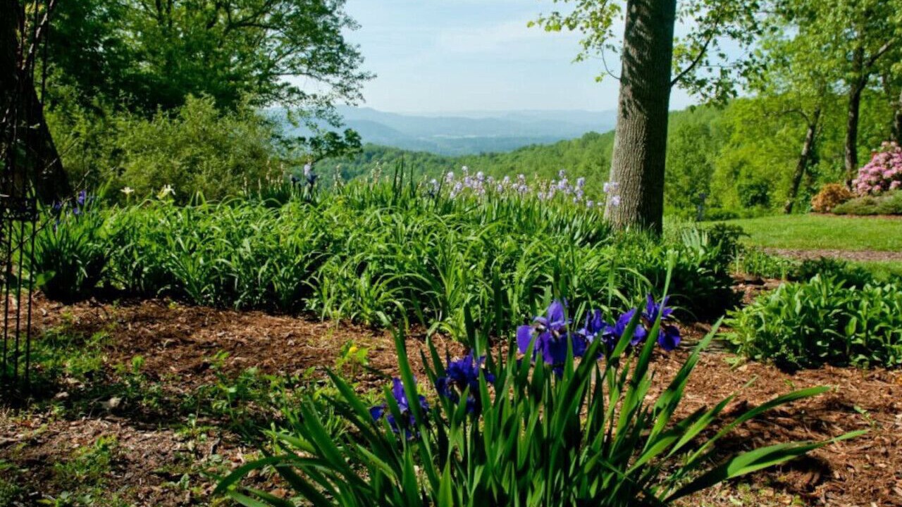 Photo of Outdoor in Skyland