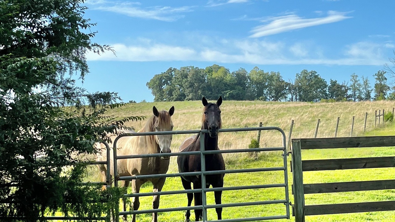 Photo of Outdoor in Siler City