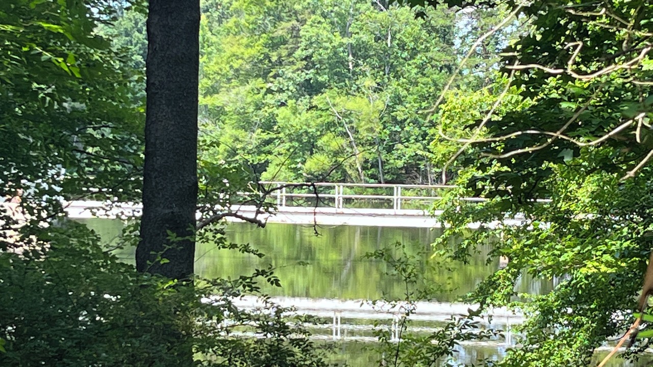 Photo of Outdoor in Siler City