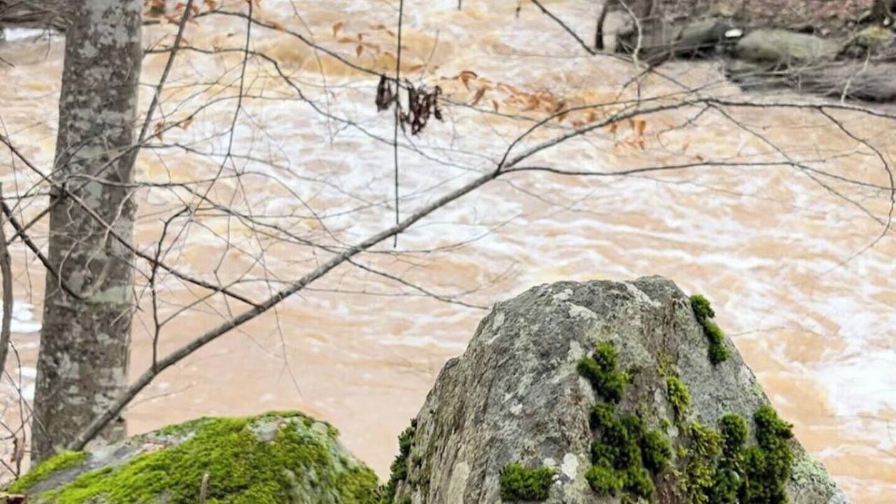 Photo of Others in Siler City