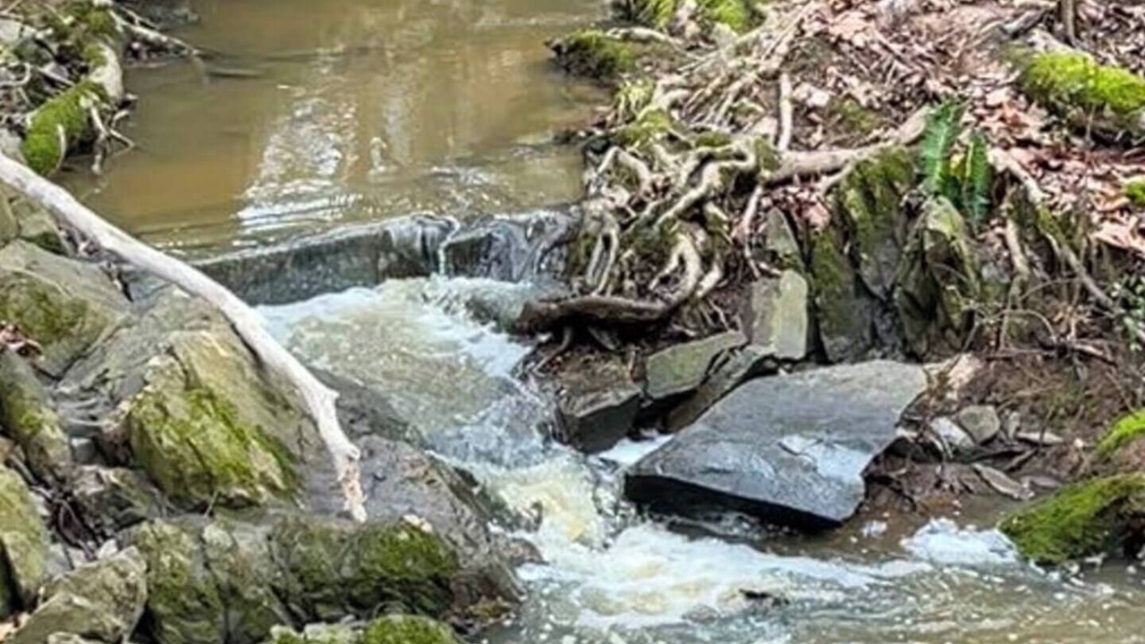 Photo of Others in Siler City