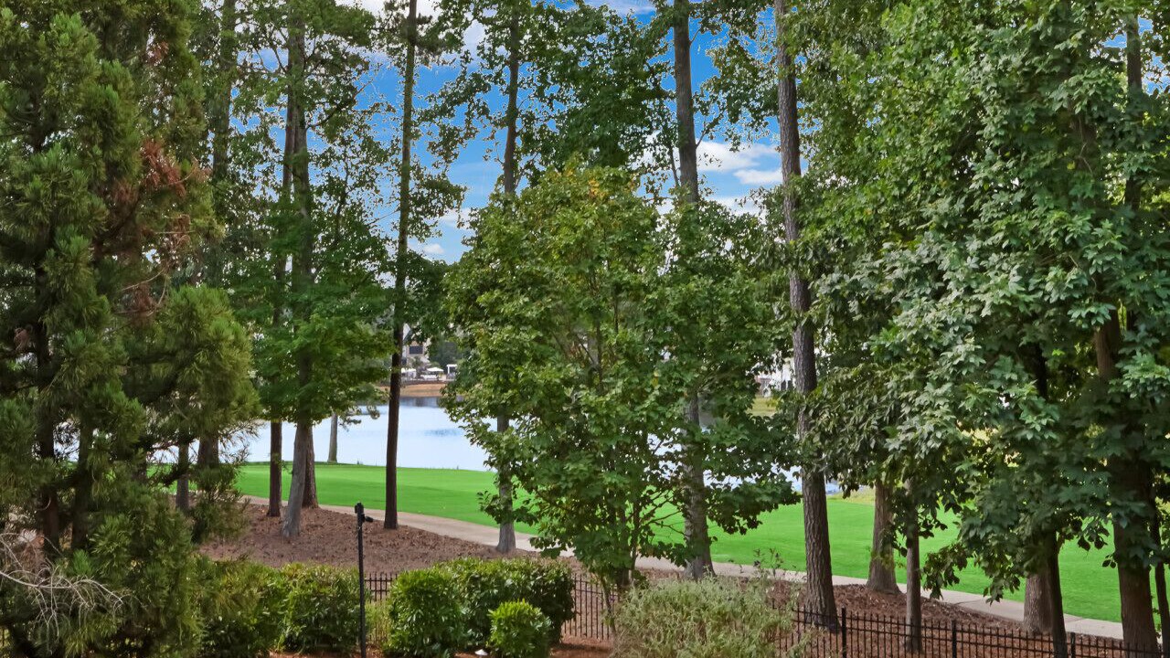 Photo of Outdoor in North Raleigh
