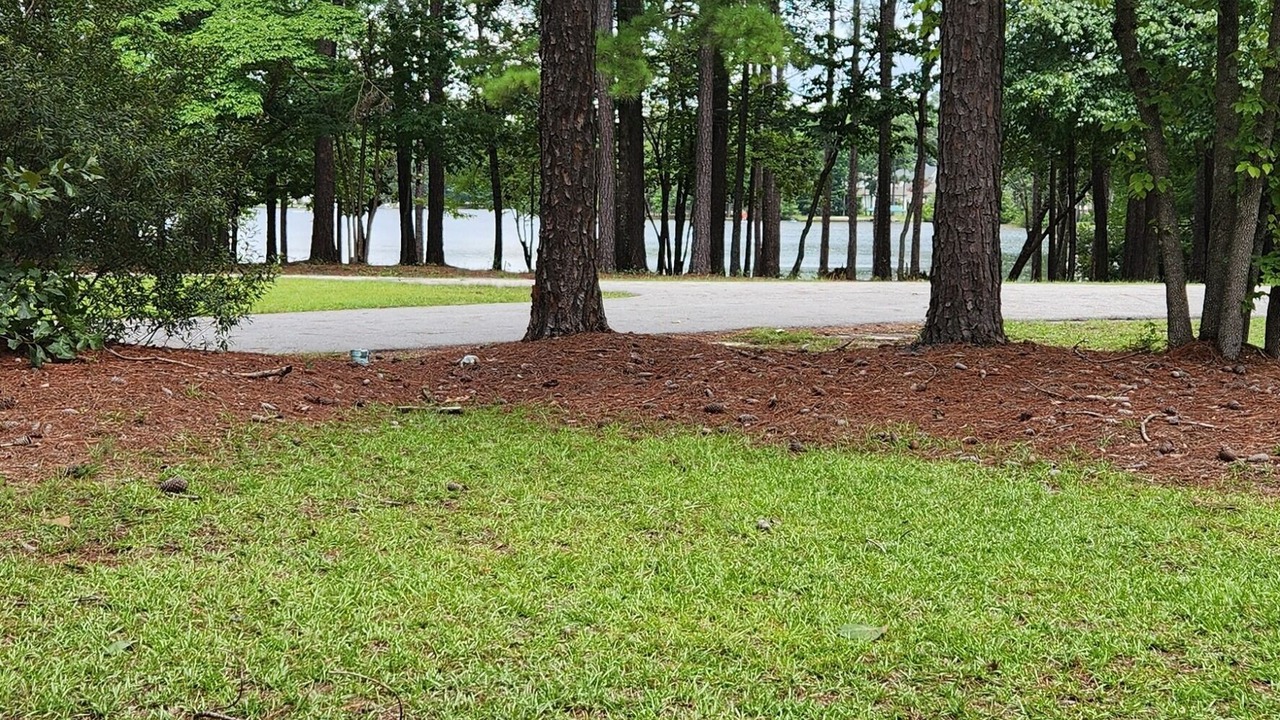Photo of Outdoor in Olivia