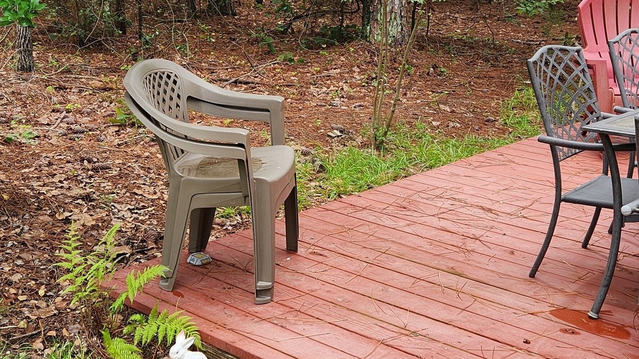 Photo of Outdoor in Olivia