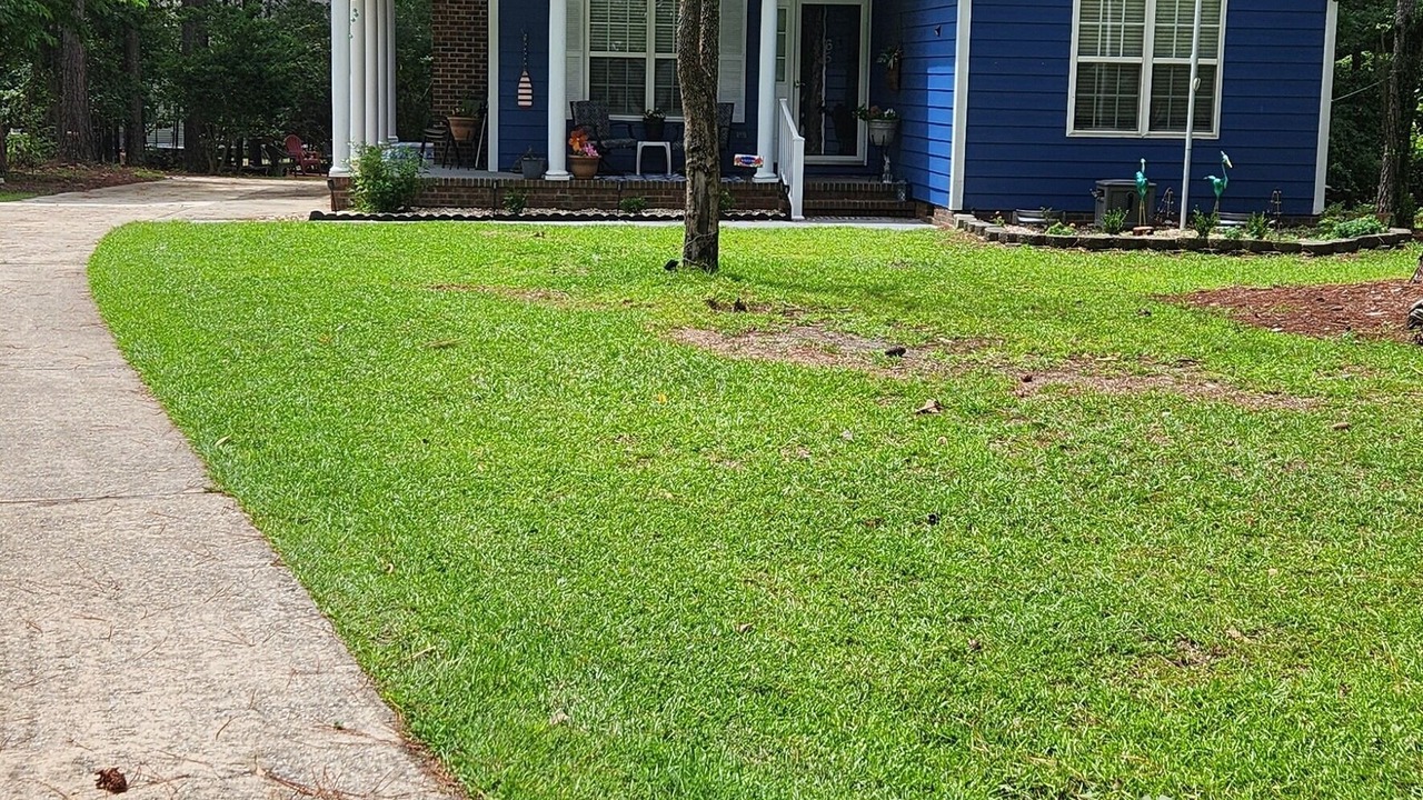 Photo of Outdoor in Olivia