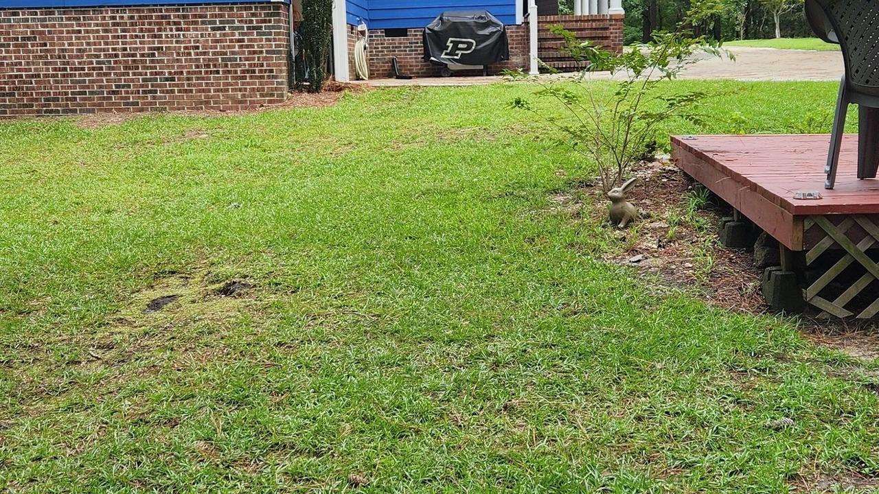 Photo of Outdoor in Olivia