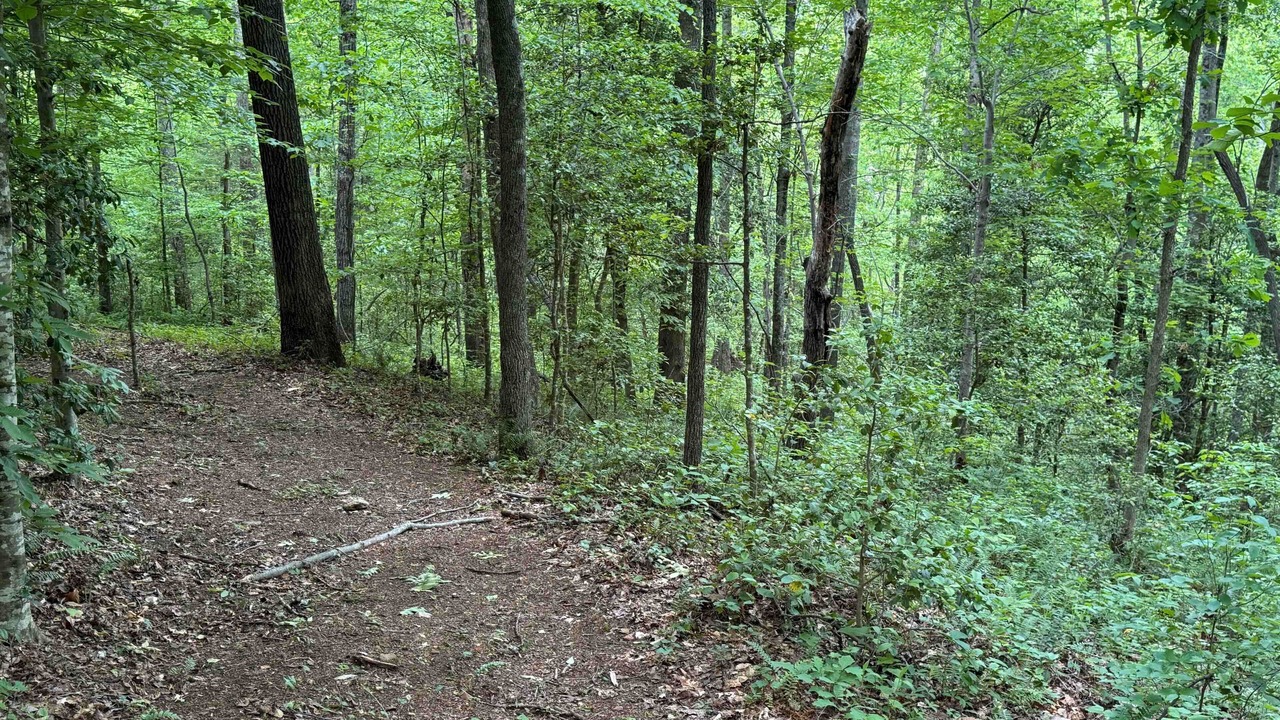 Photo of Outdoor in Union Grove