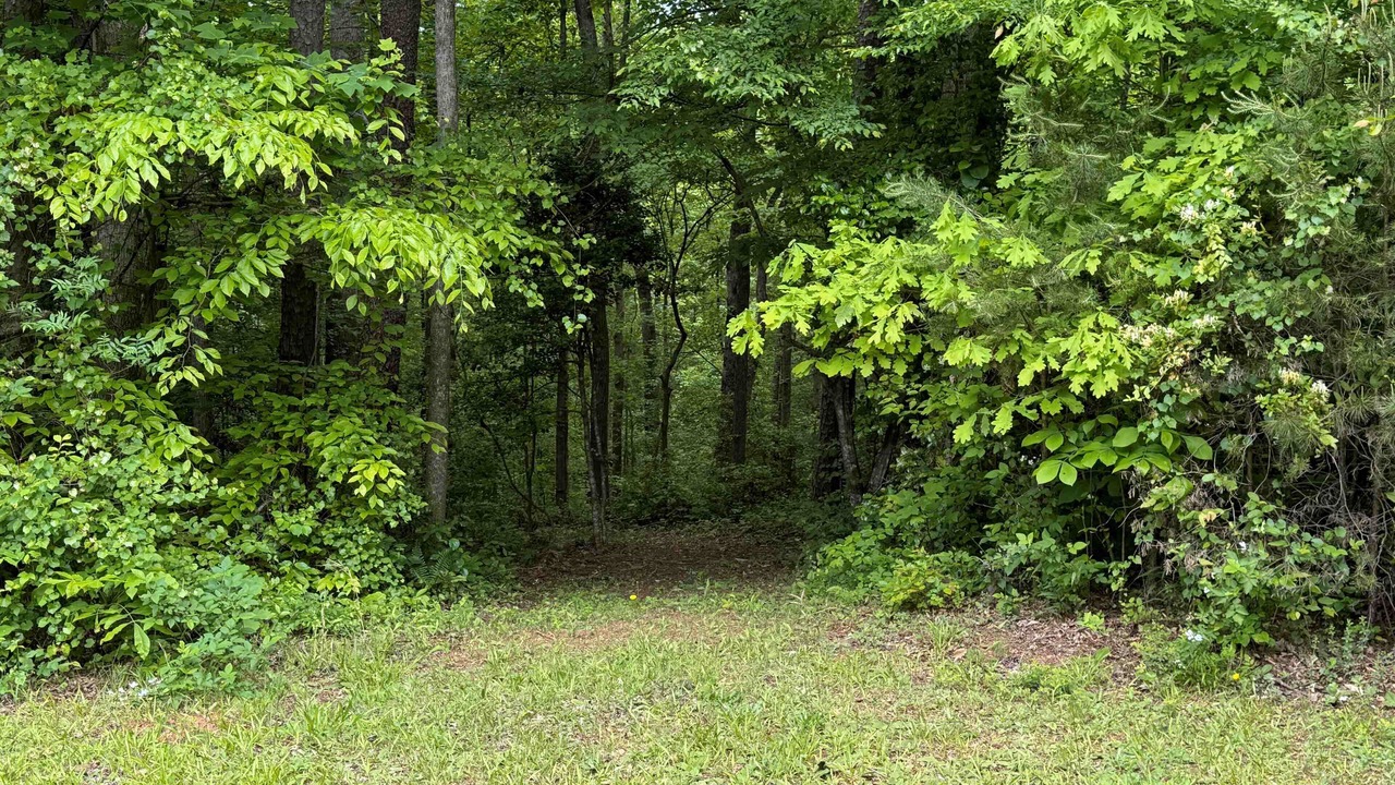 Photo of Outdoor in Union Grove