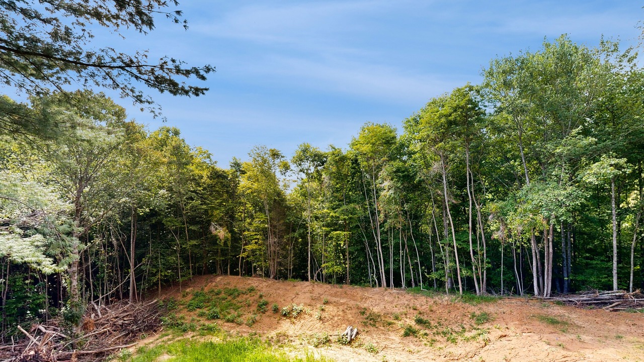 Photo of Outdoor in Roaring River