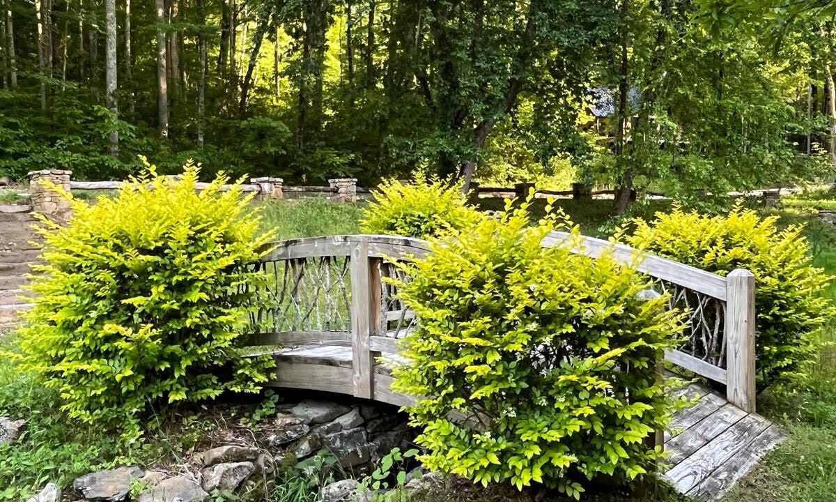 Photo of Outdoor in Andrews