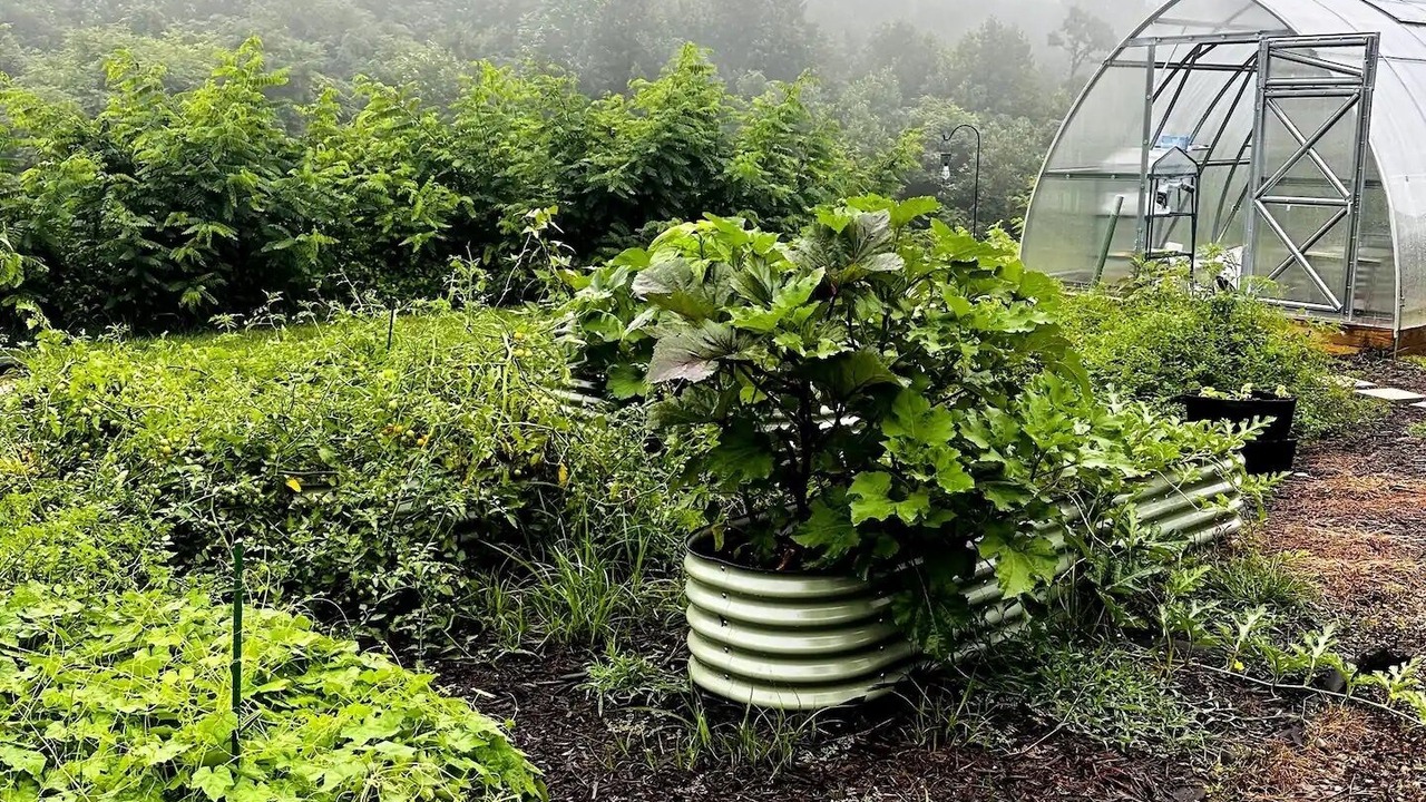 Photo of Outdoor in Taylorsville