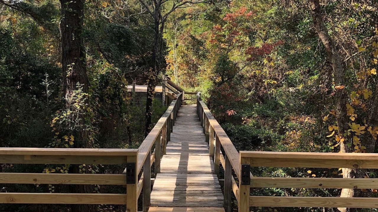 Photo of Outdoor in Southern Shores