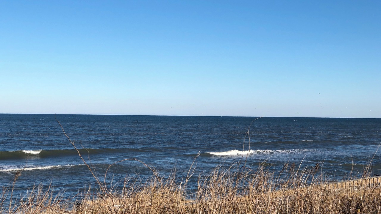 Photo of Others in Southern Shores