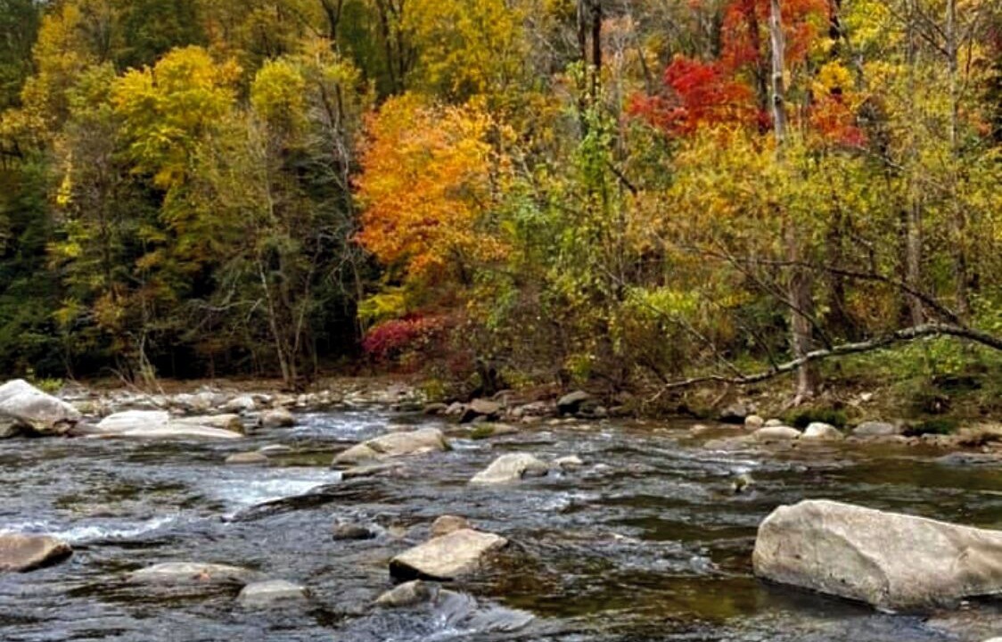 Photo of Others in Lake Lure