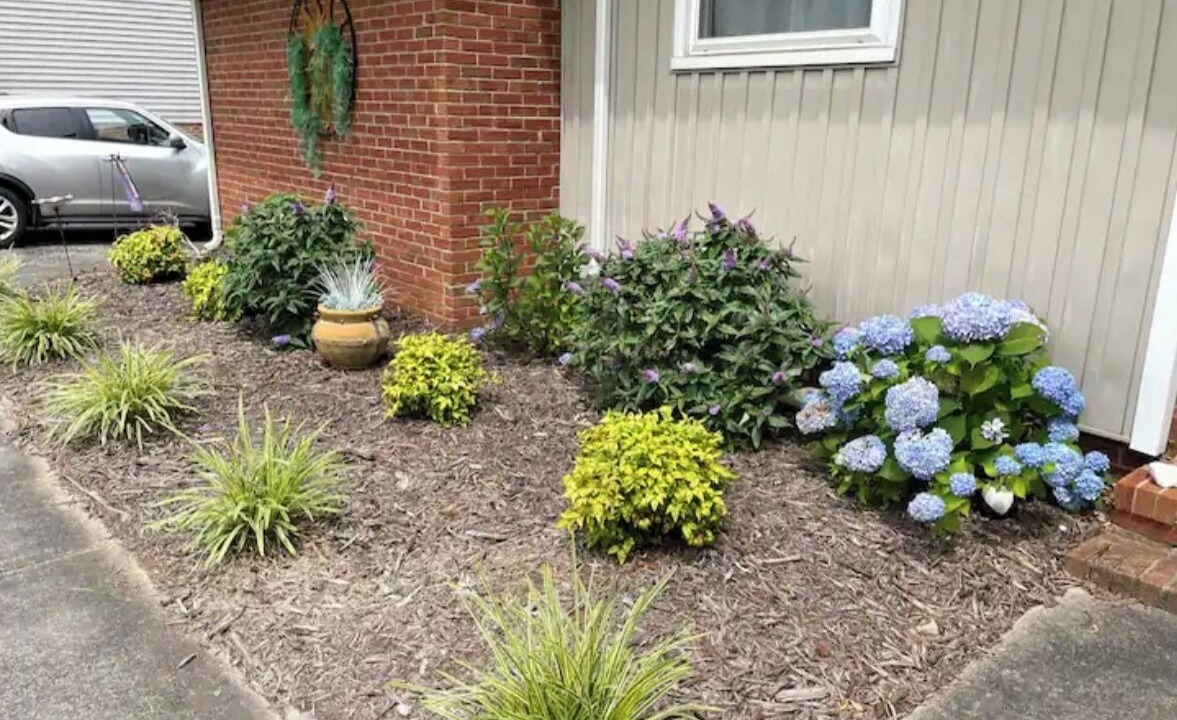 Photo of Outdoor in Paw Creek