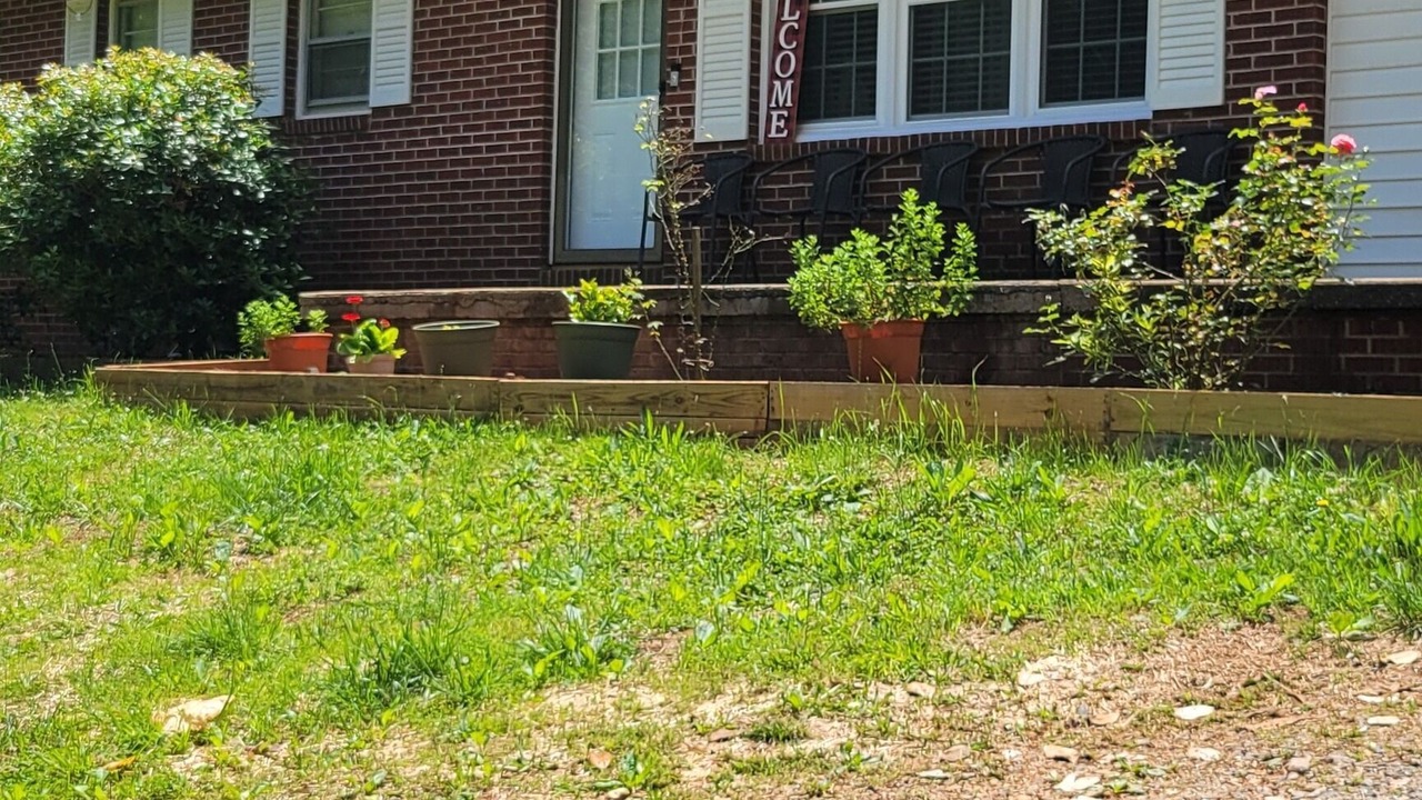 Photo of Outdoor in Forest City