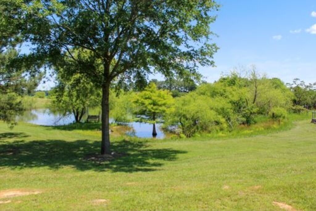 Photo of Others in Union County
