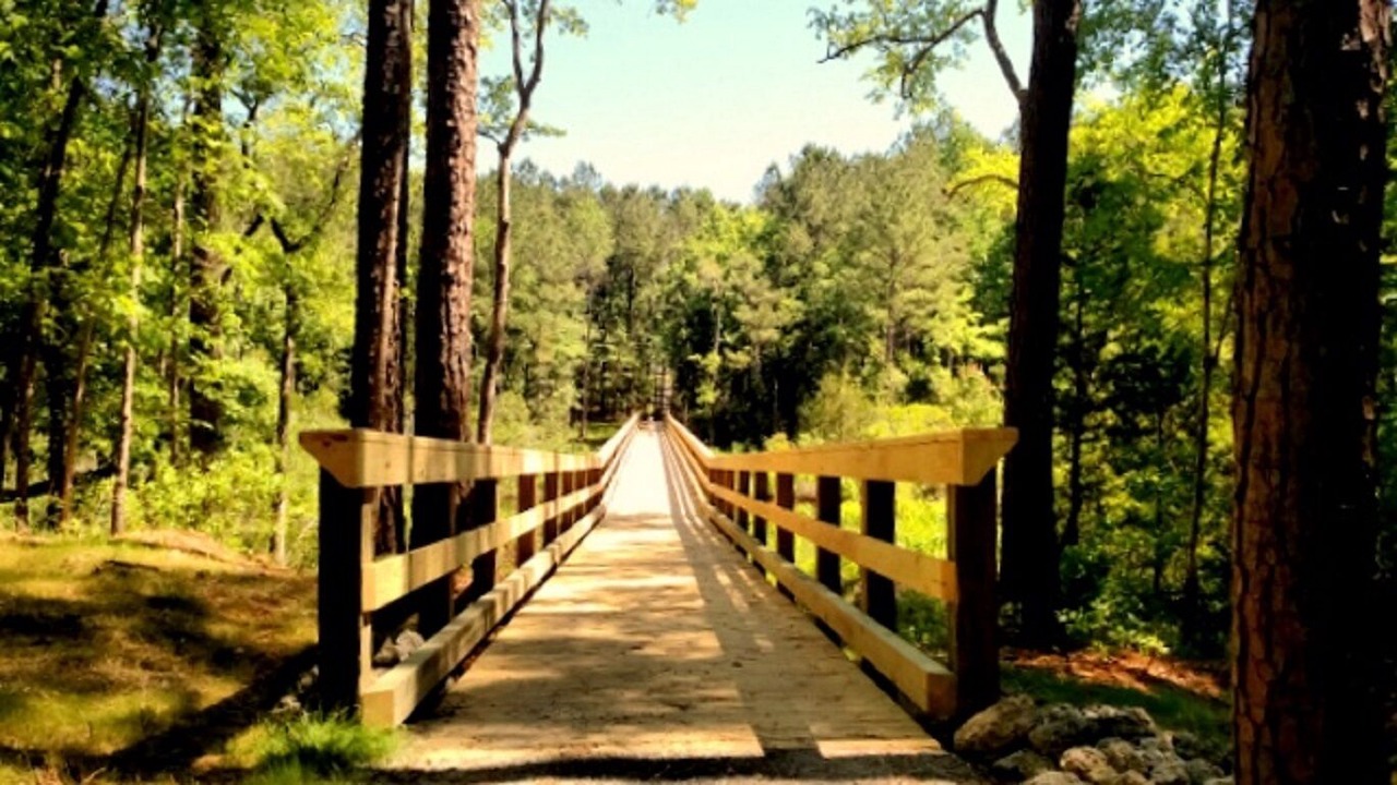 Photo of Outdoor in Minnesott Beach