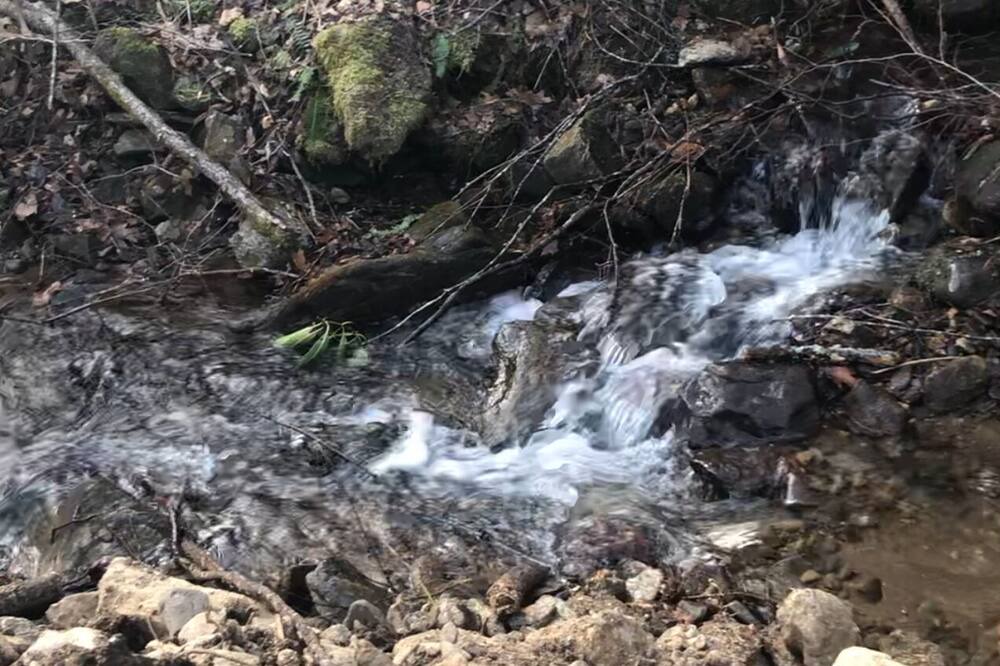 Photo of Outdoor in Canton