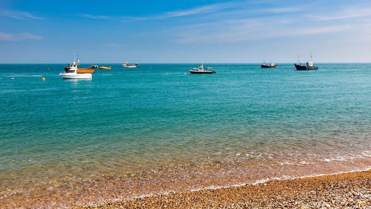 Photo of Others in Selsey