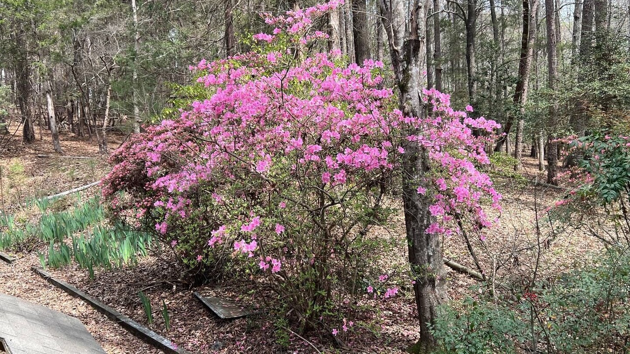 Photo of Outdoor in Bynum