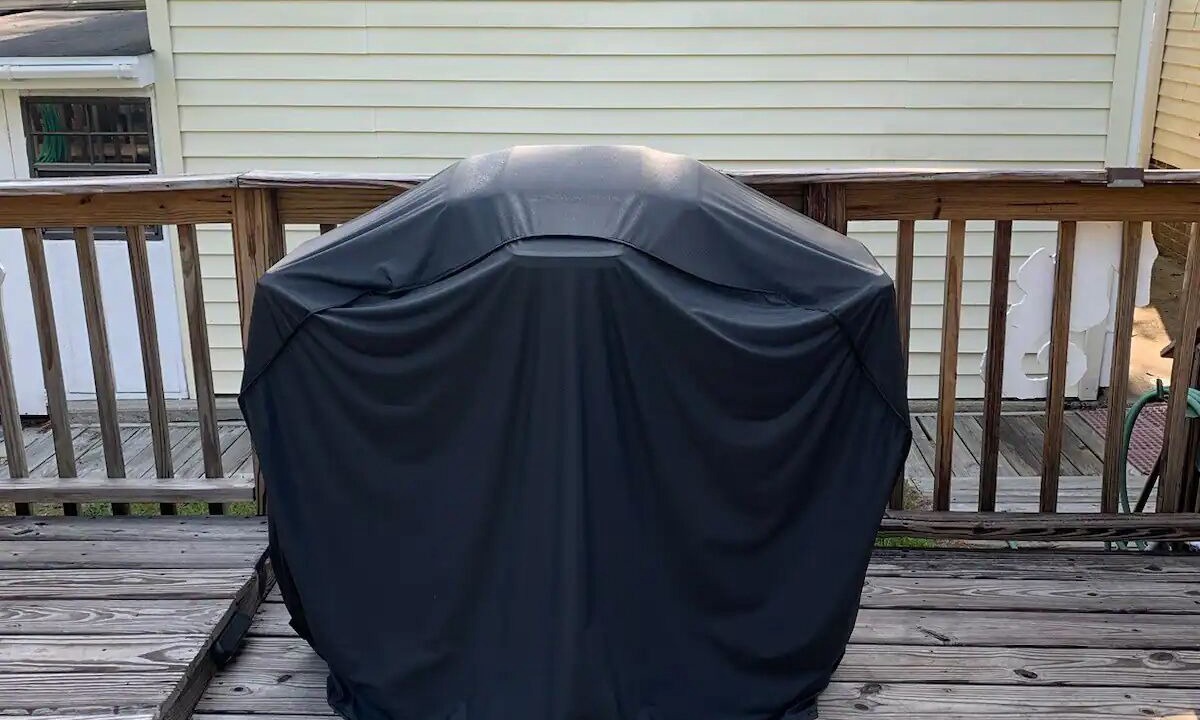 Photo of Outdoor in Shallotte