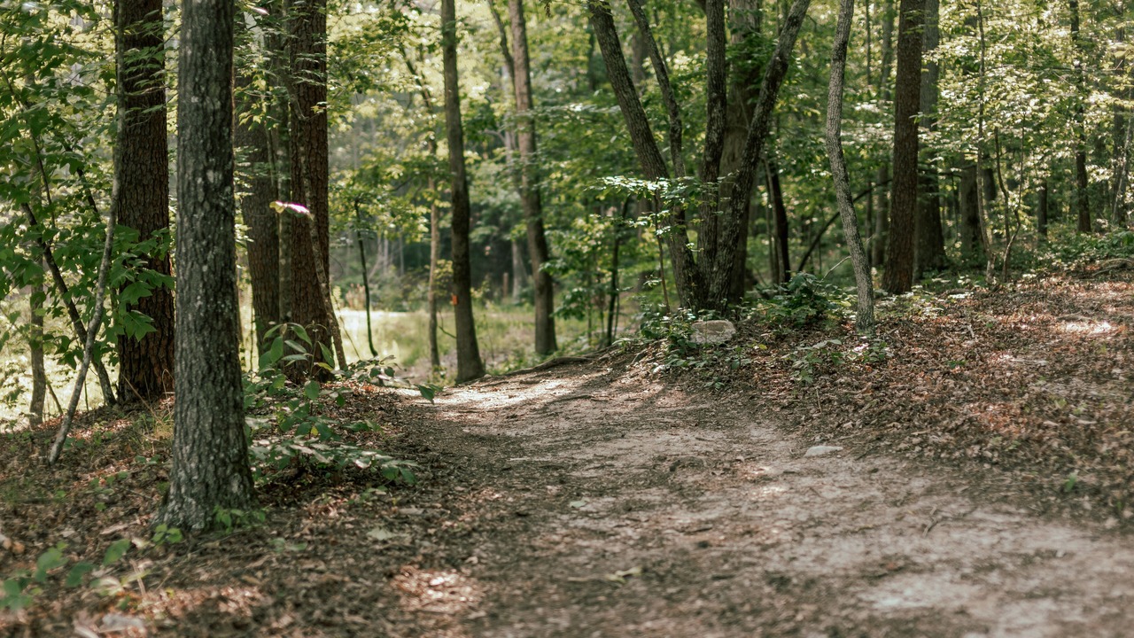 Photo of Outdoor in Mill Spring