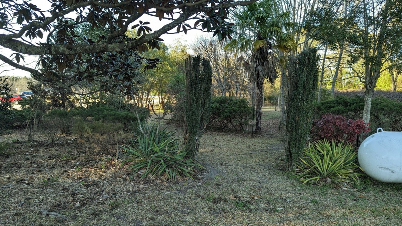 Photo of Outdoor in Wilson County