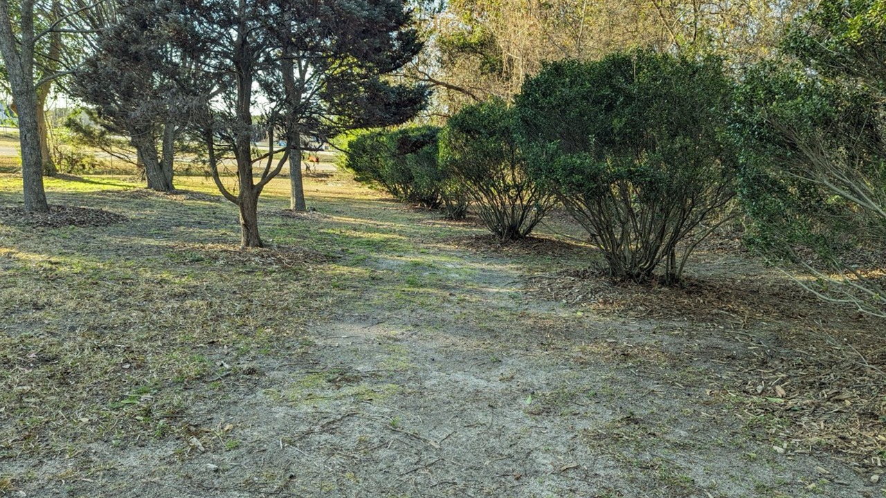 Photo of Outdoor in Wilson County