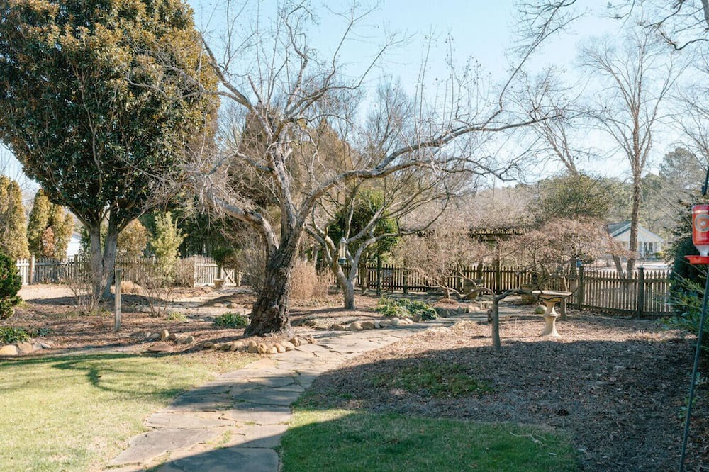 Photo of Outdoor in Vass