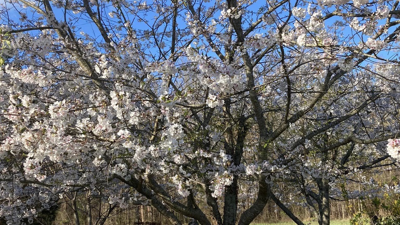 Photo of Outdoor in Mocksville