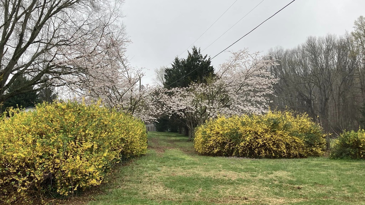 Photo of Outdoor in Mocksville