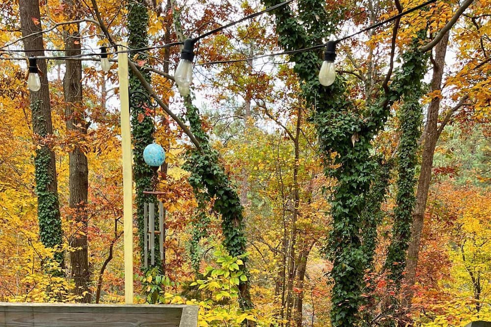 Photo of Outdoor in North Raleigh