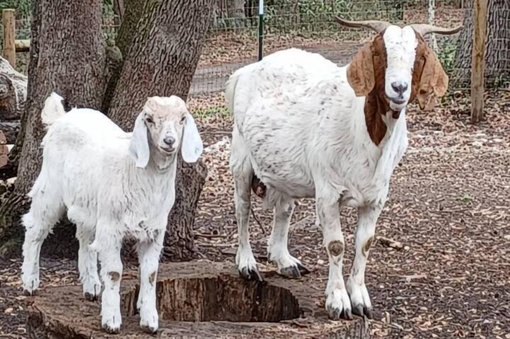 Photo of Others in Dorchester County