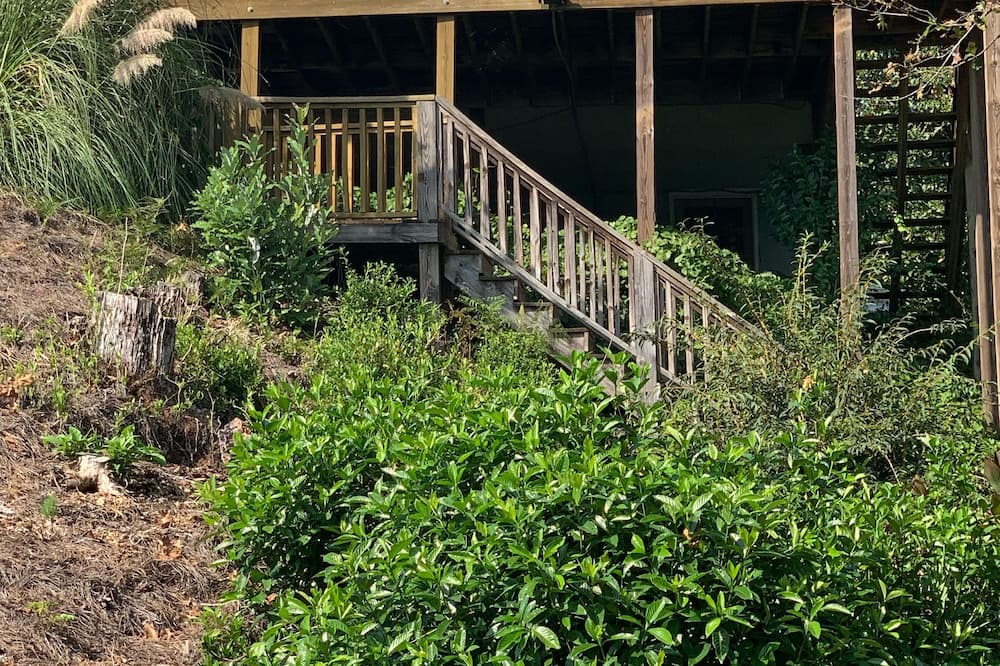 Photo of Outdoor in Olivia