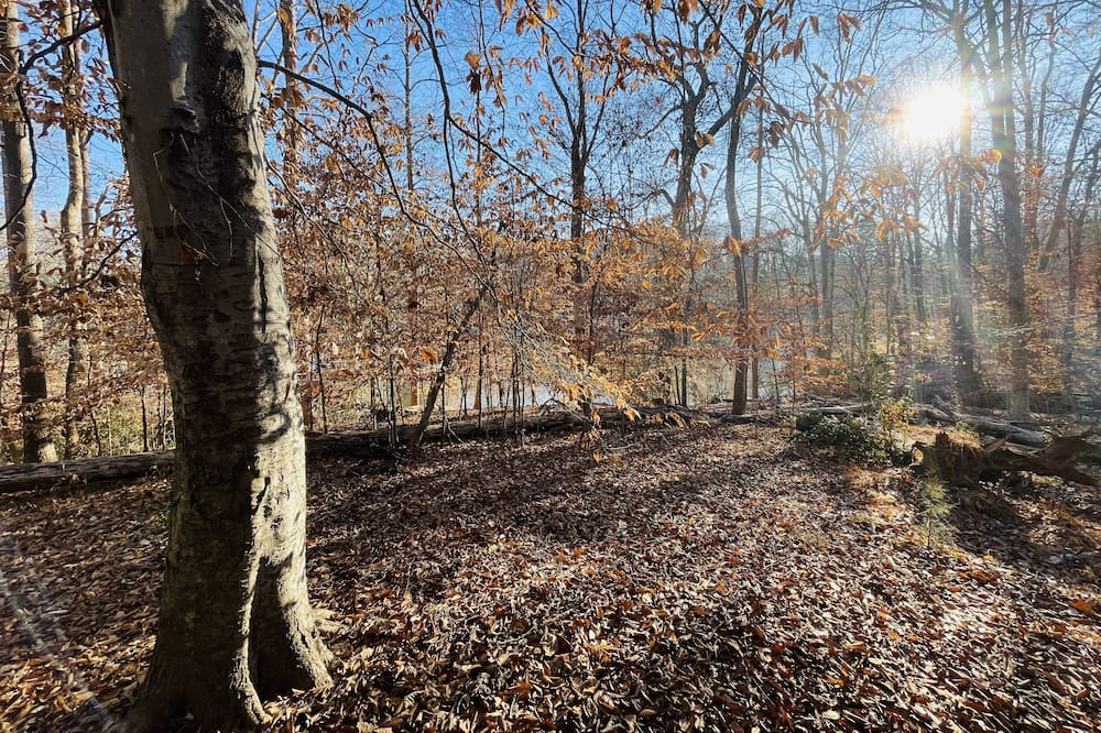 Photo of Outdoor in Clemmons