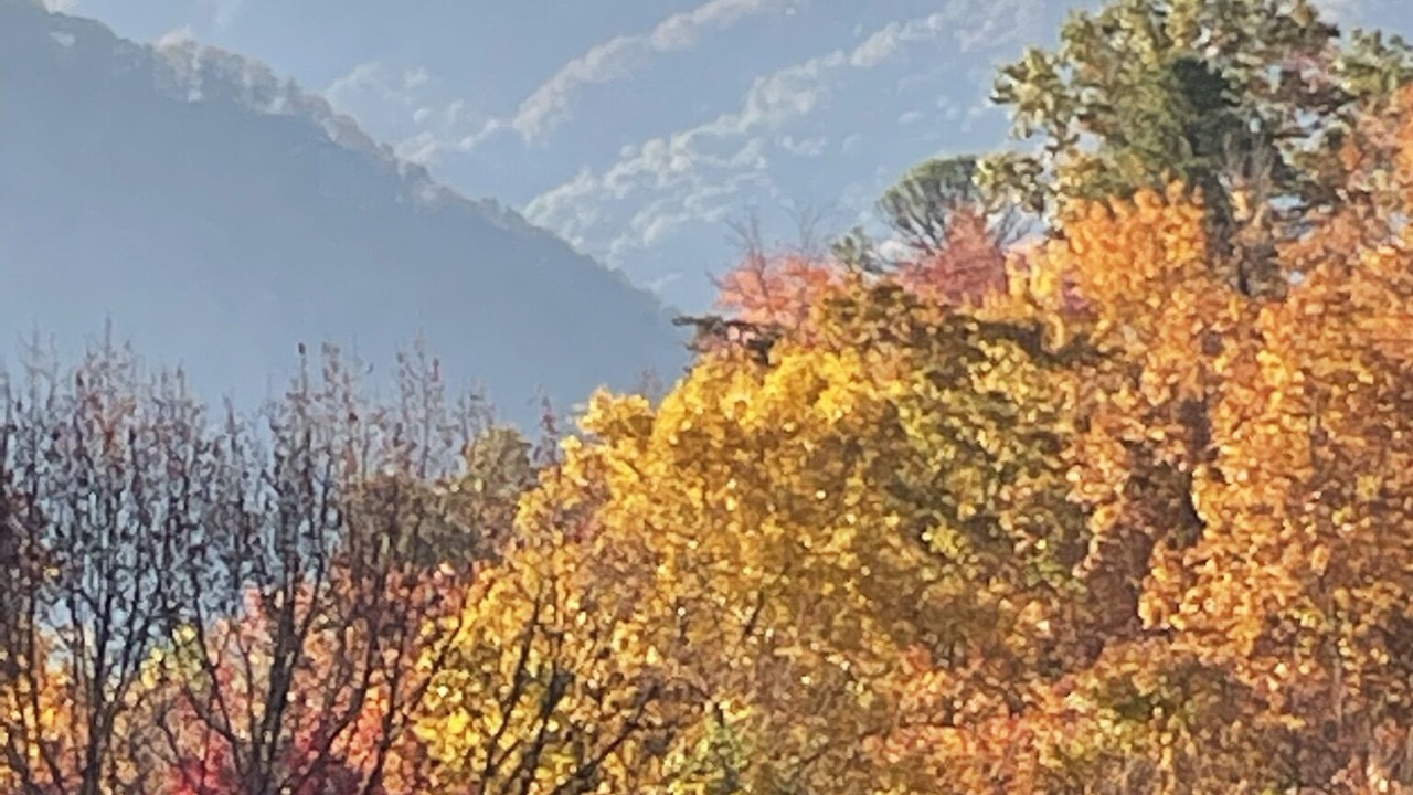 Photo of Others in Skyland