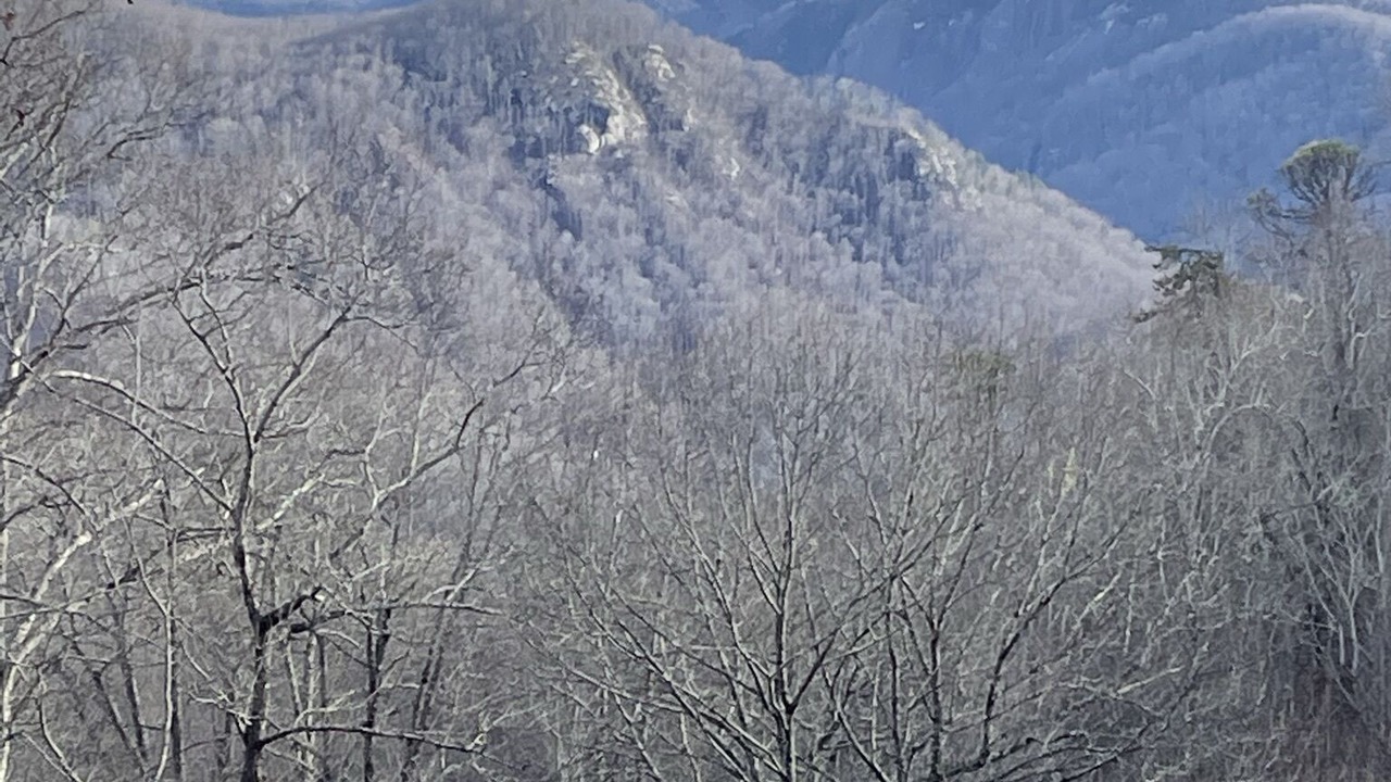 Photo of Others in Skyland