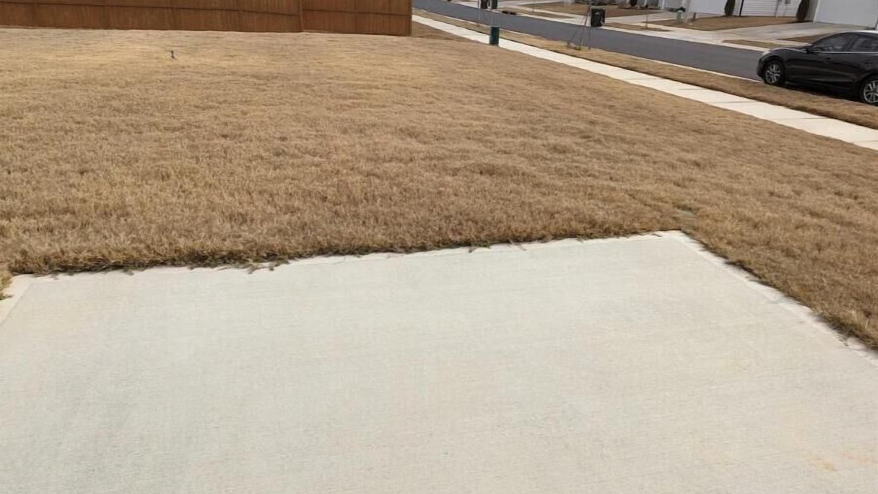 Photo of Outdoor in Raleigh