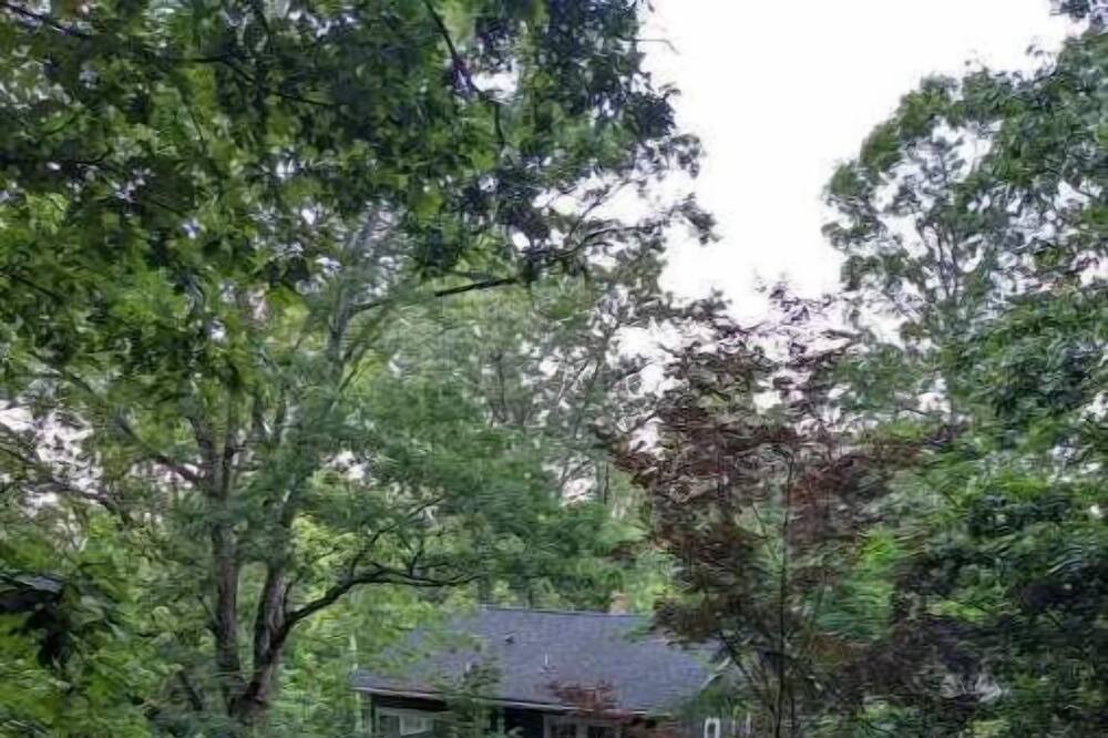 Photo of Outdoor in East End - Valley Street